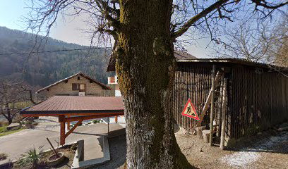 Andraž Štrukelj s.p., računalniške dejavnosti