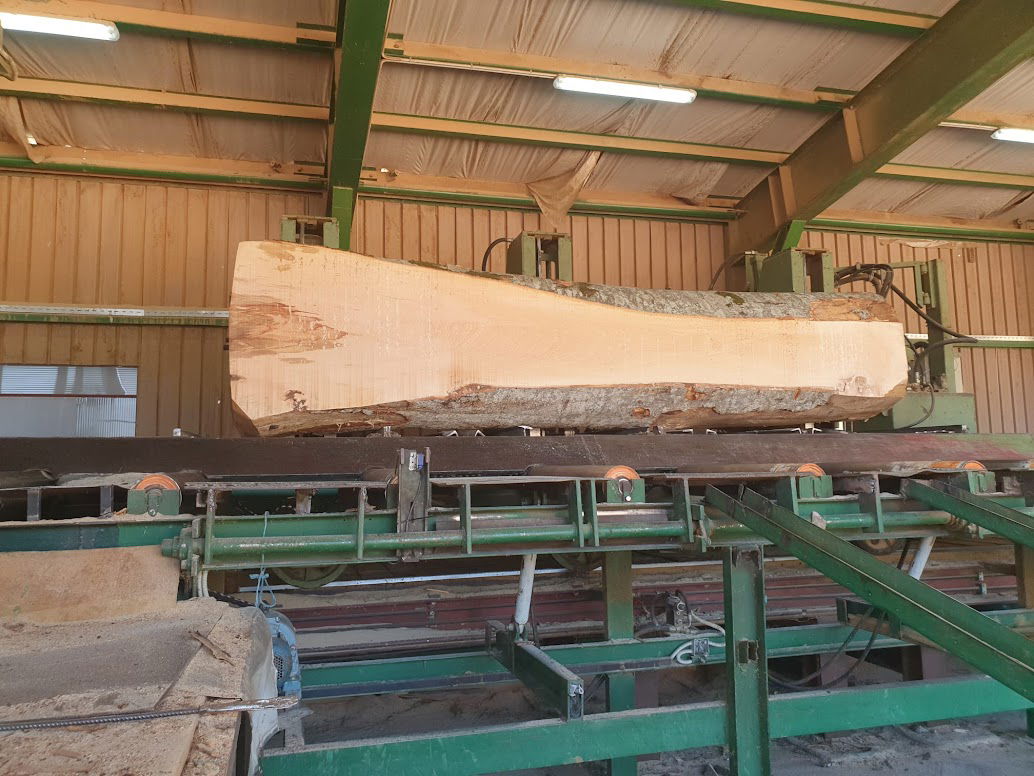 Pilana Jasika d.o.o.