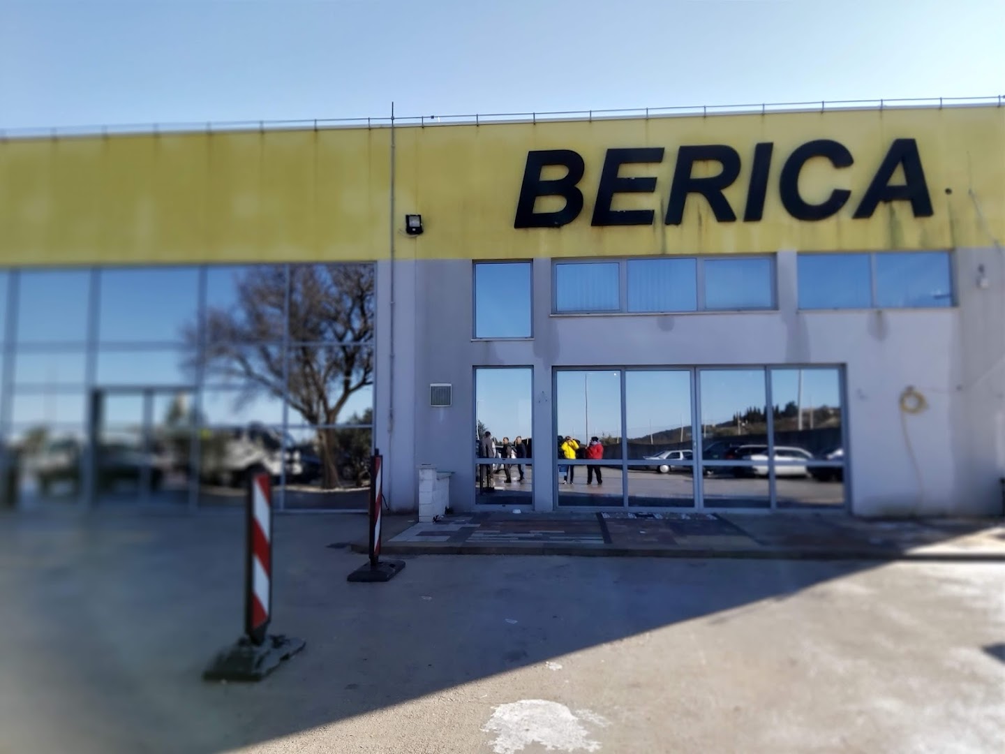 BERICA Ltd.