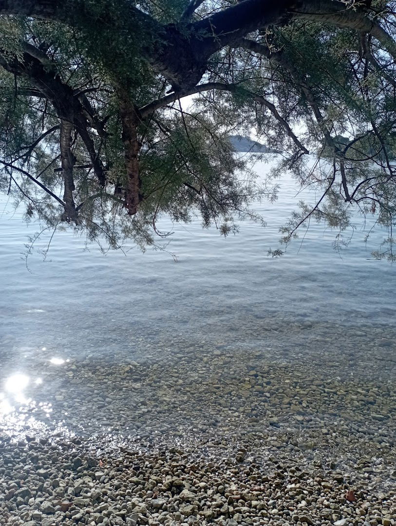 Apartmani Kolega- Villa Čerenac