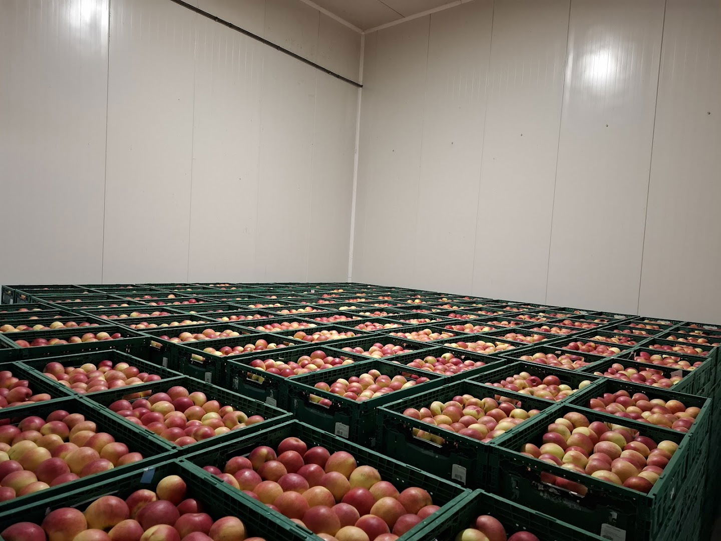 Poljoprivredno gazdinstvo Brković