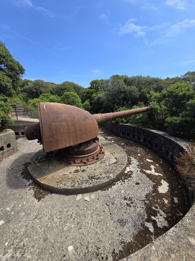 Obalna bitnica Monte Salvie