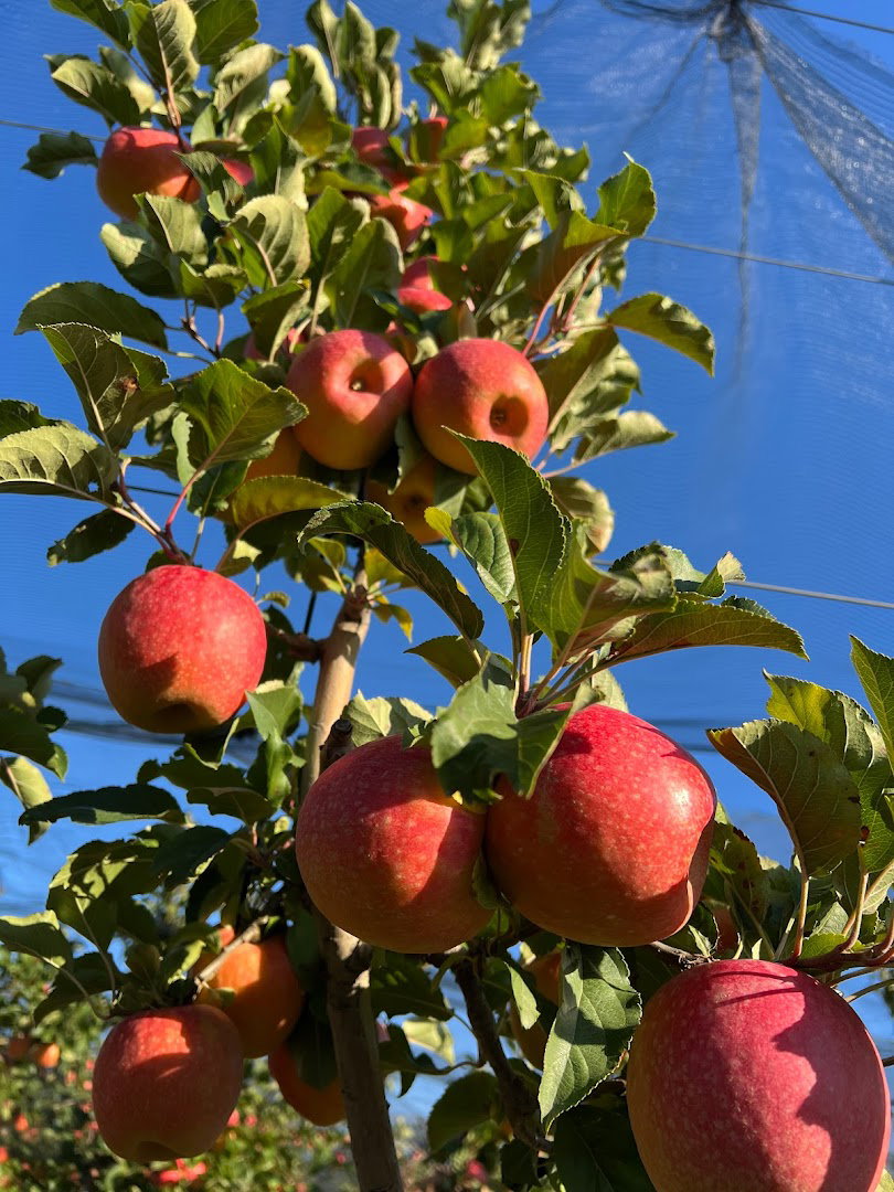 INTRADA NERETVA D.O.O.