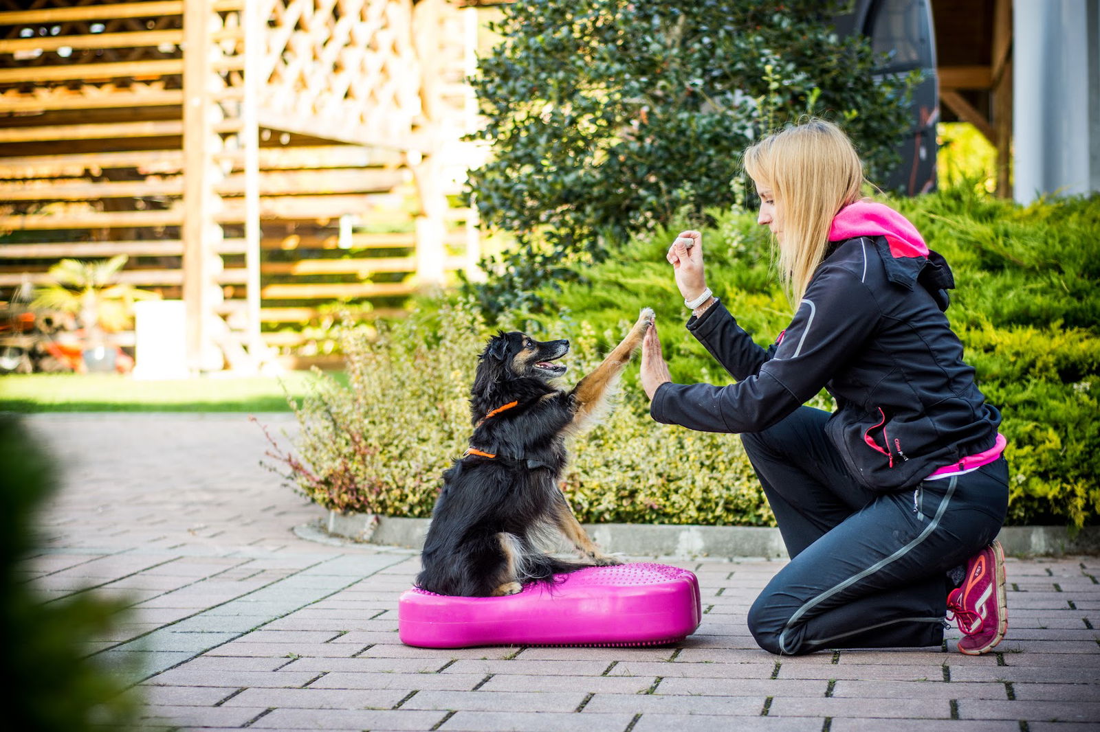 FizioVET, Veterinarska fizioterapija in rehabilitacija živali