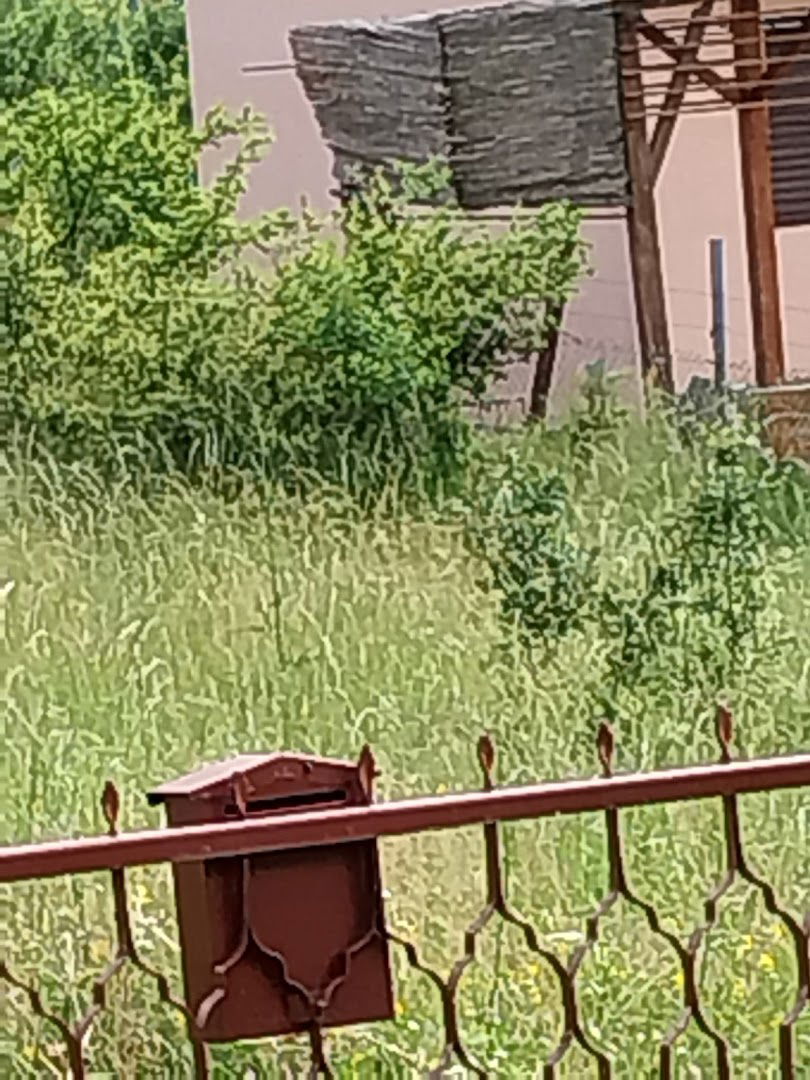 Hacijenda Radošević