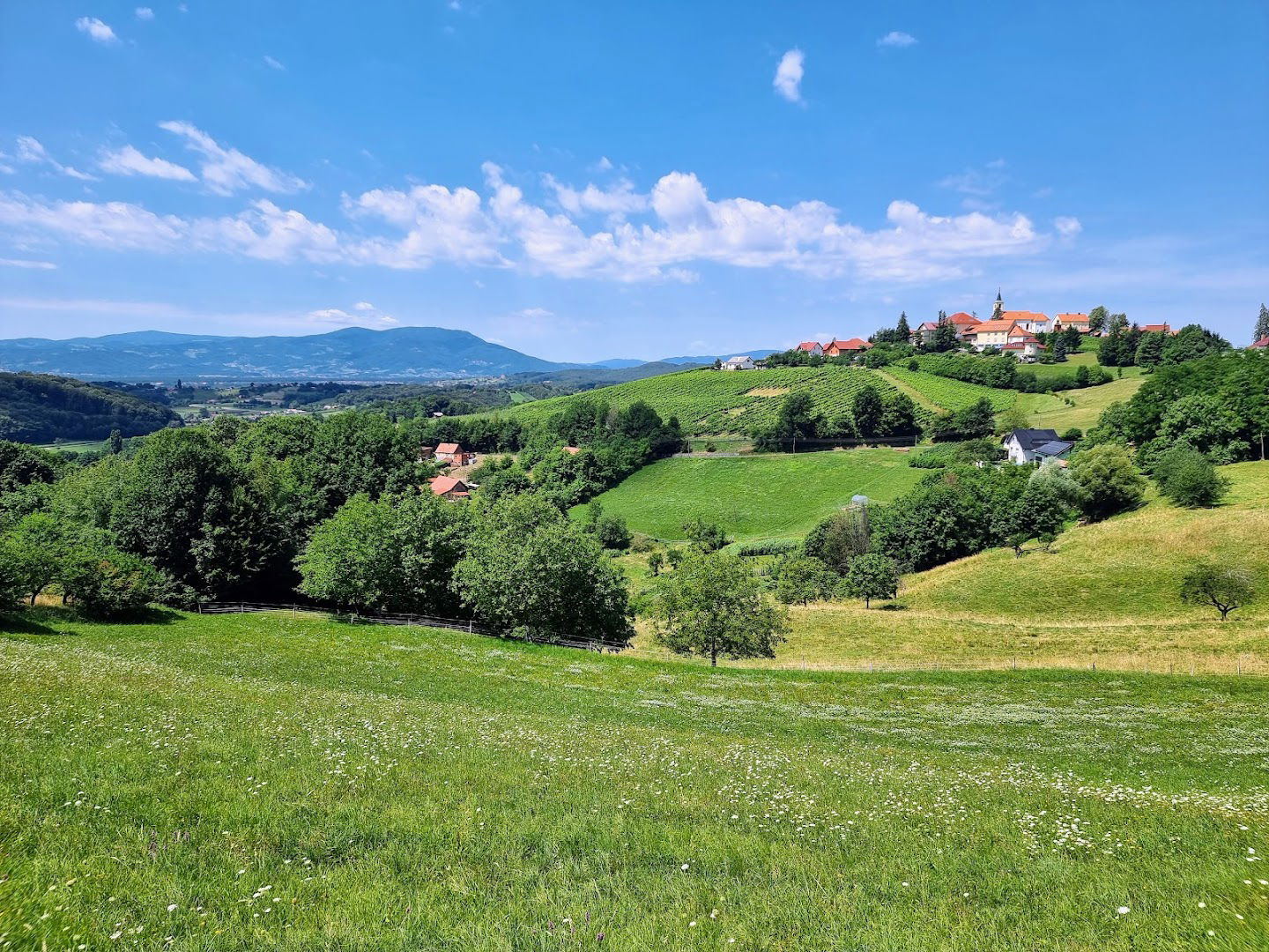 Kmetijska zadruga Ptuj z.o.o.