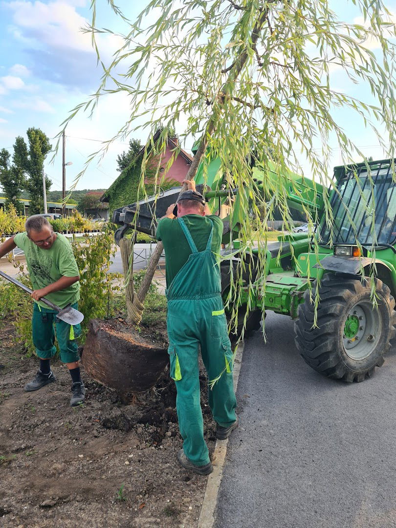 Rasadnik Markuševec