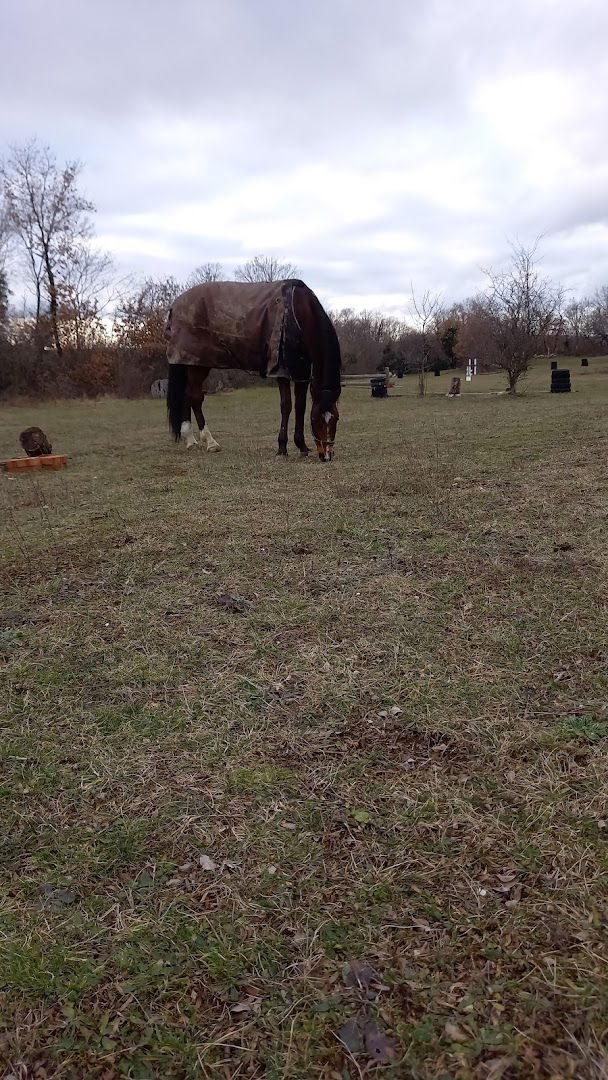 Konjički klub ASTRA