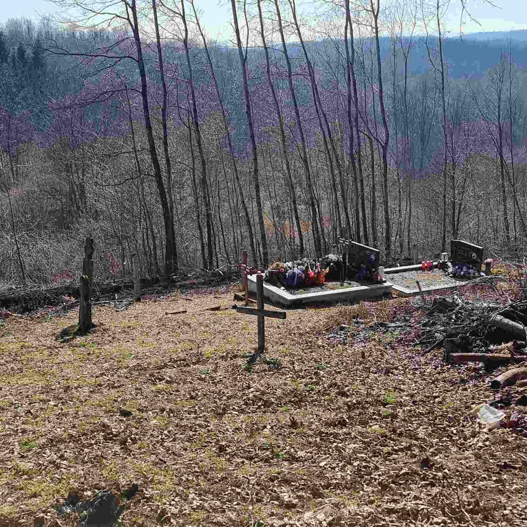 Old Cemetery Stojmerić