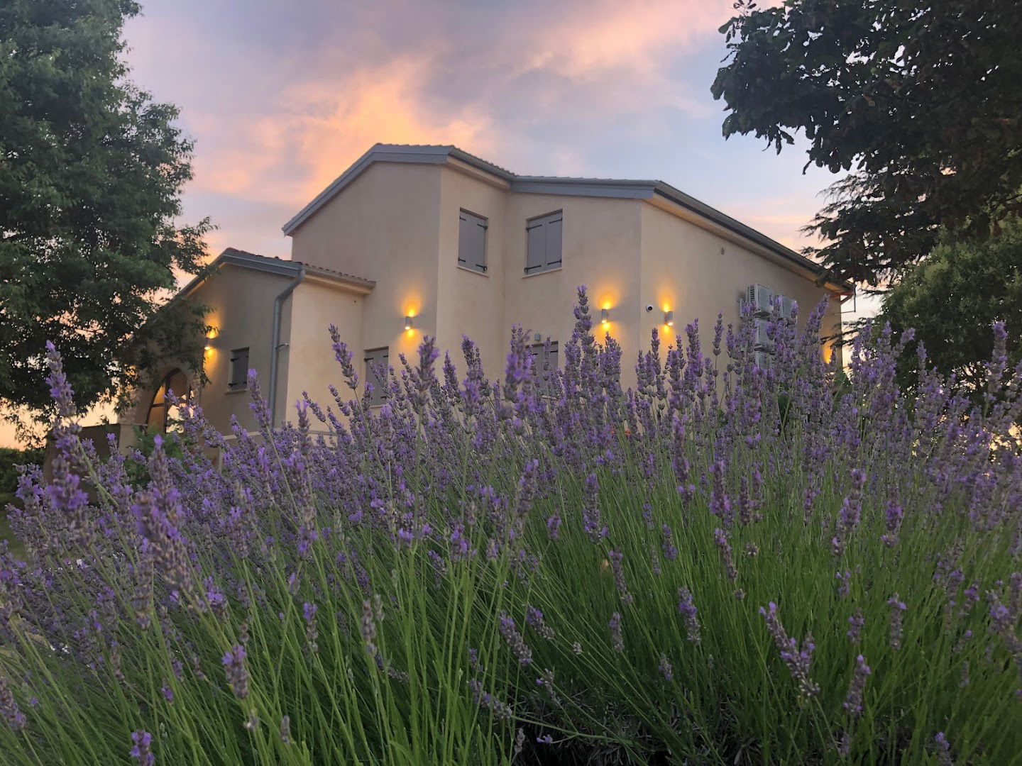 Villa Branko - the love of rural tourism