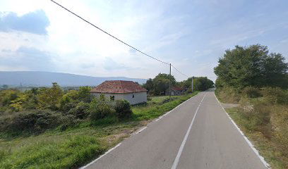 KADINA GLAVICA KOLARI 2