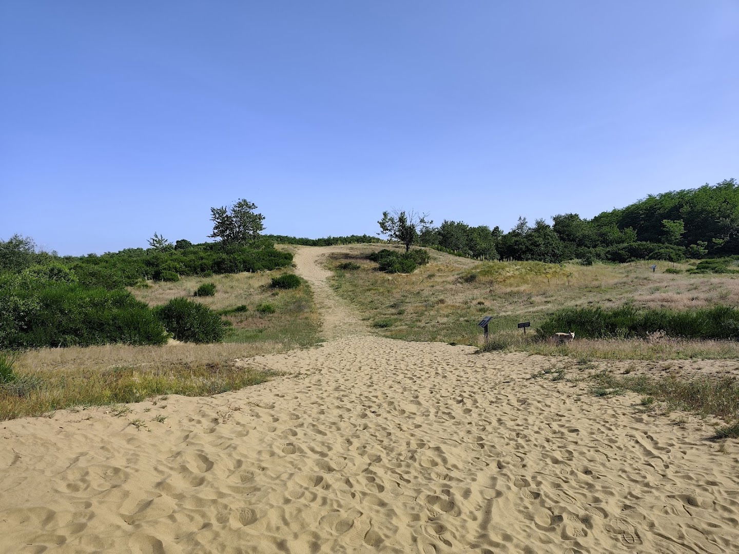 Đurđevački pjesci