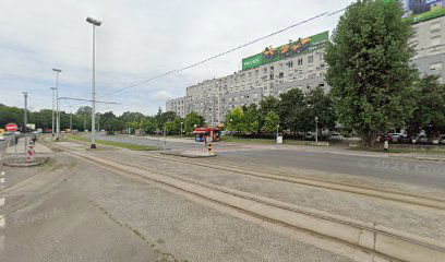 Pruga koja nedostaje