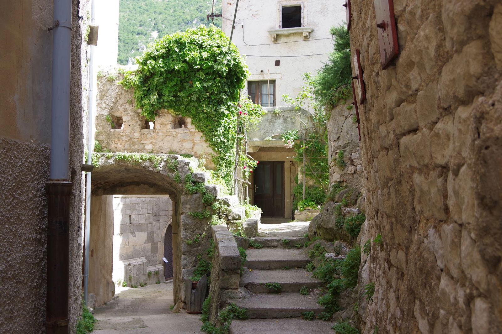 Panoramic view point