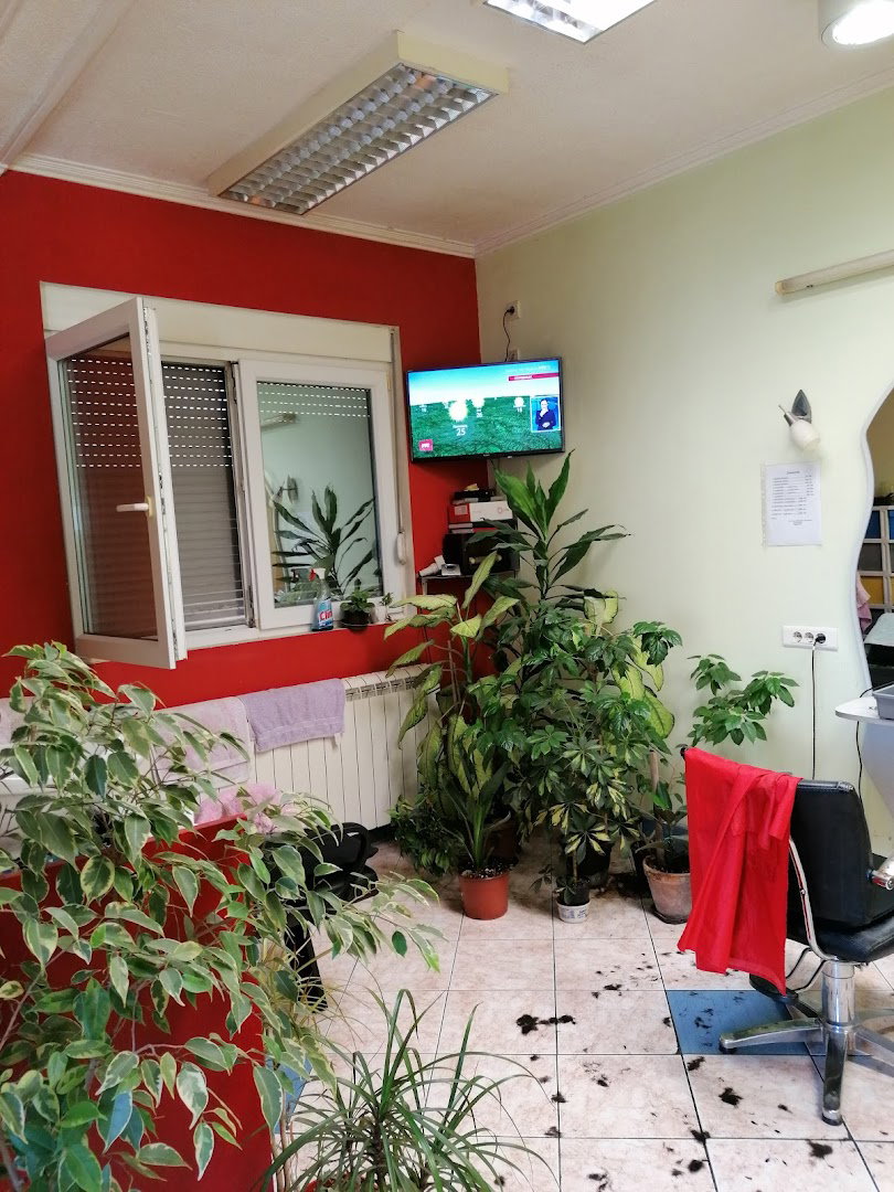 Hairdressing Salon Mica