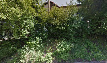 Вртић Пинокио