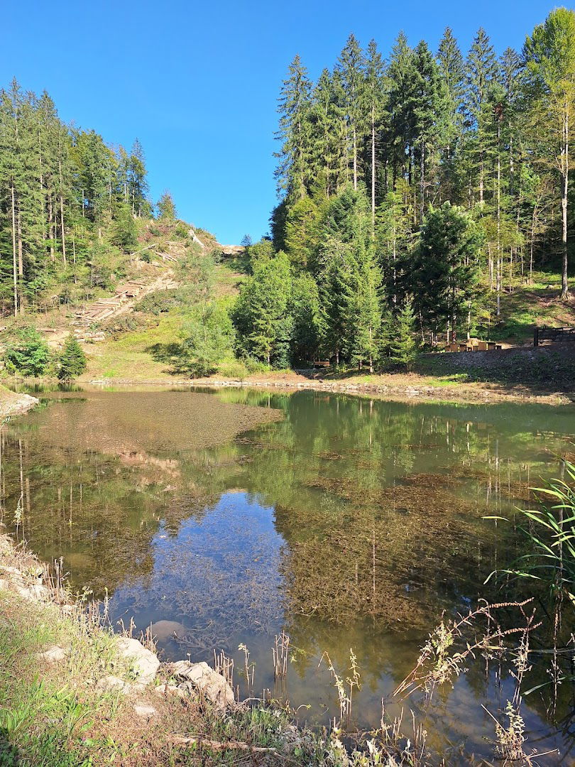 Starosušičko jezero