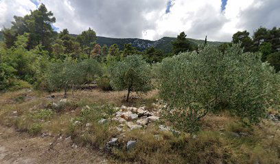 Spomenik žrtvama fašizma