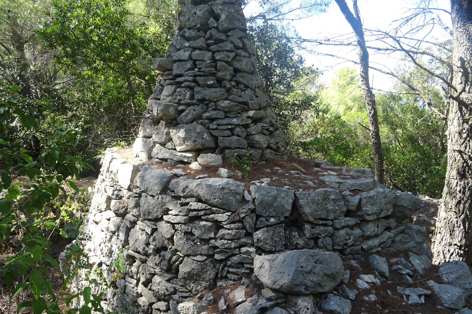 Kralj kamenih šipki