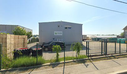 Kavido Green Vegetables