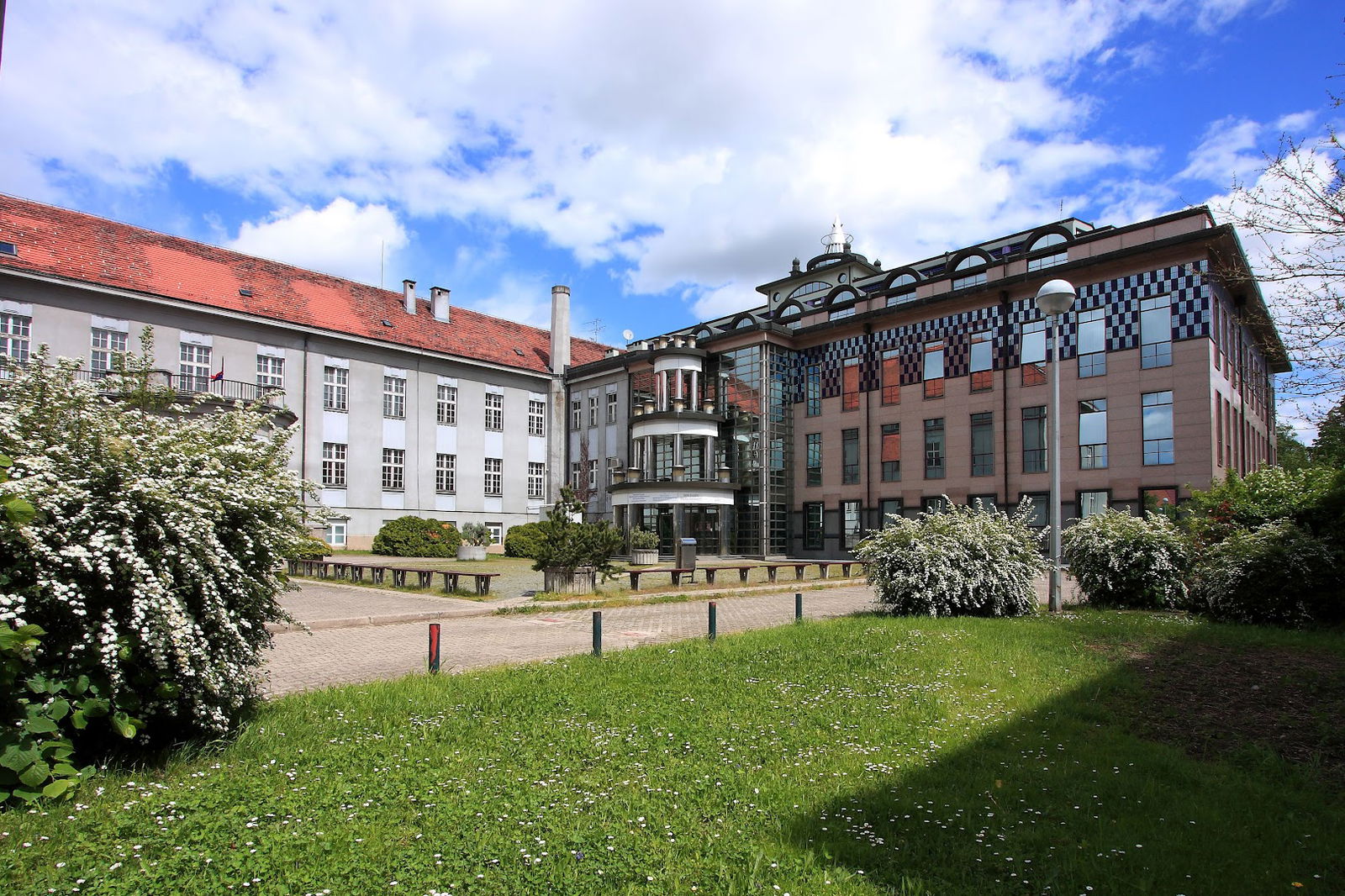 Hrvatski institut za istraživanje mozga HIIM