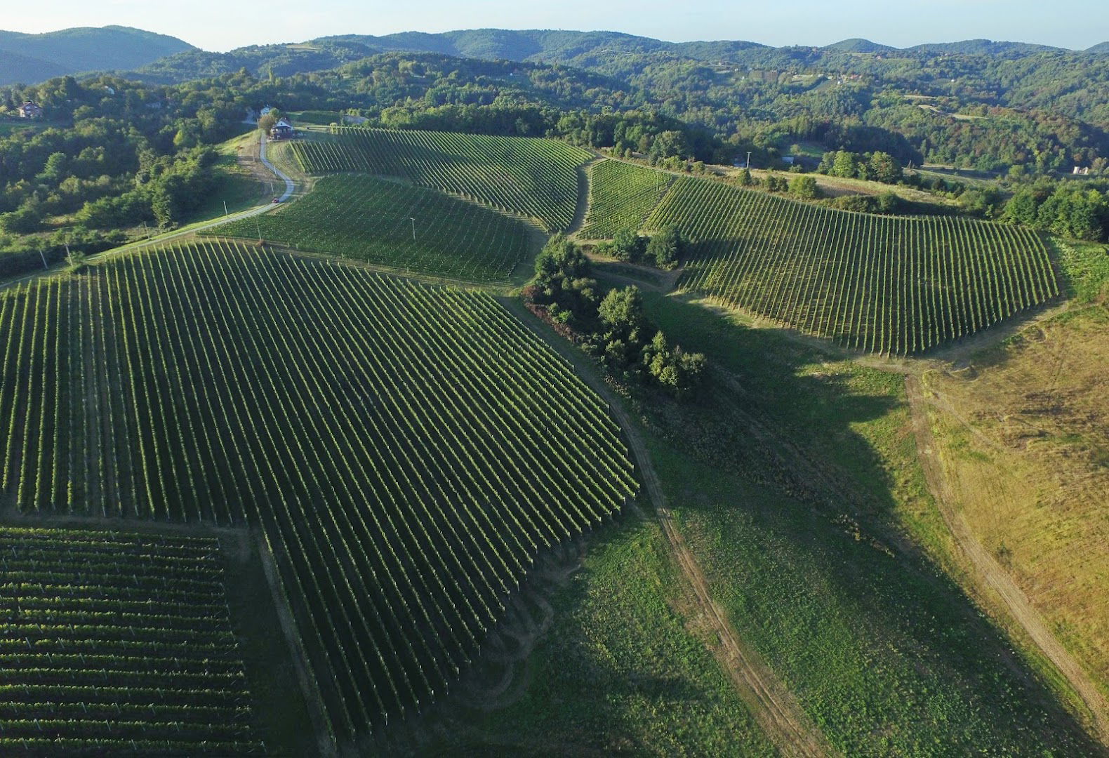 POLJOPRIVREDNA ZADRUGA IVANEC-VINARIJA