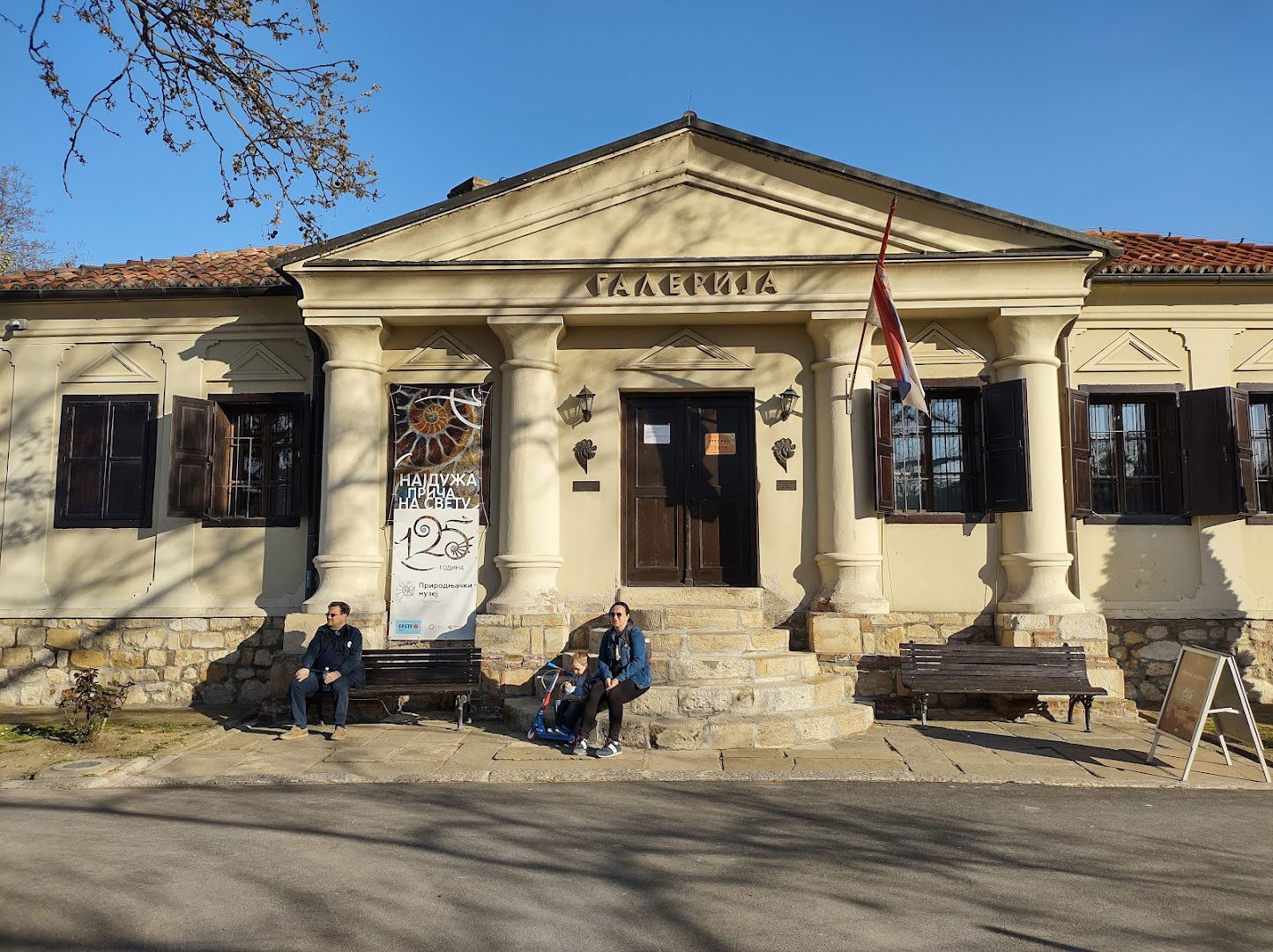 Gallery of the Natural History Museum