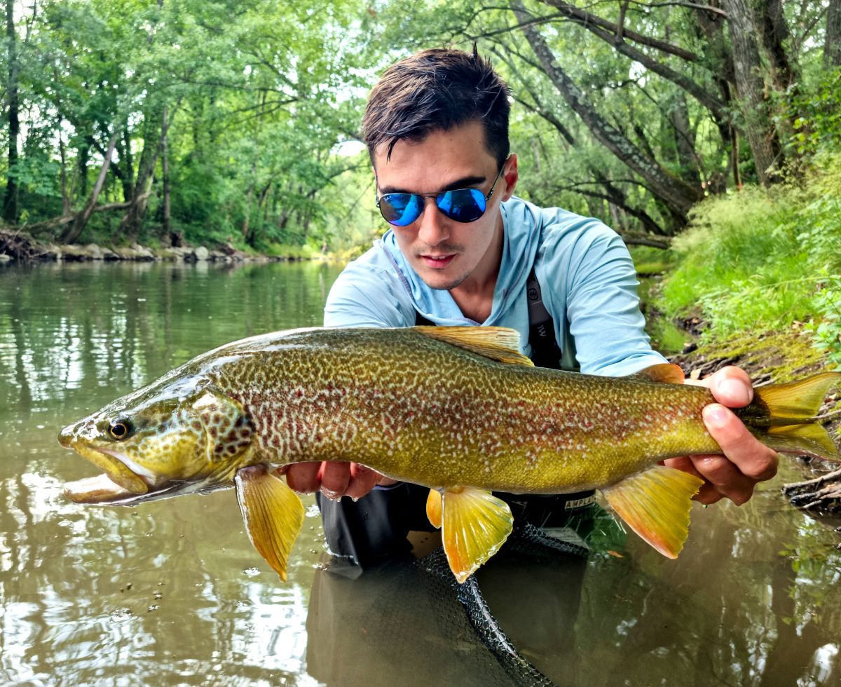 Cotic Fly Fishing Slovenia