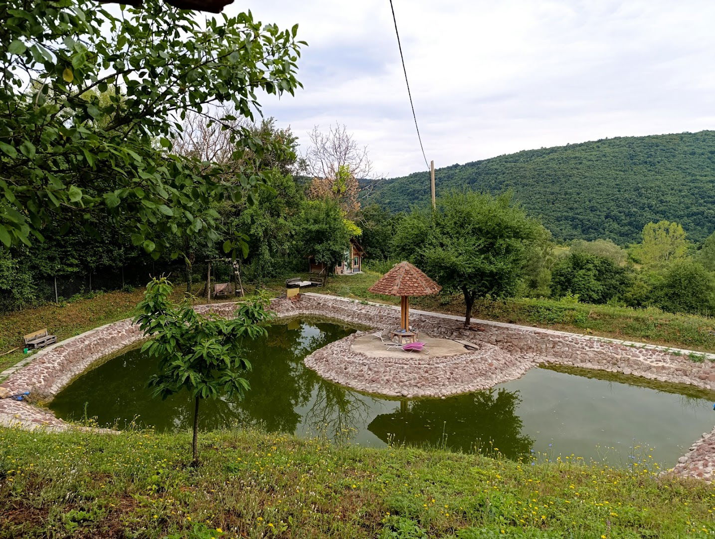 Ezop - Veterinarska ambulanta Novi Sad