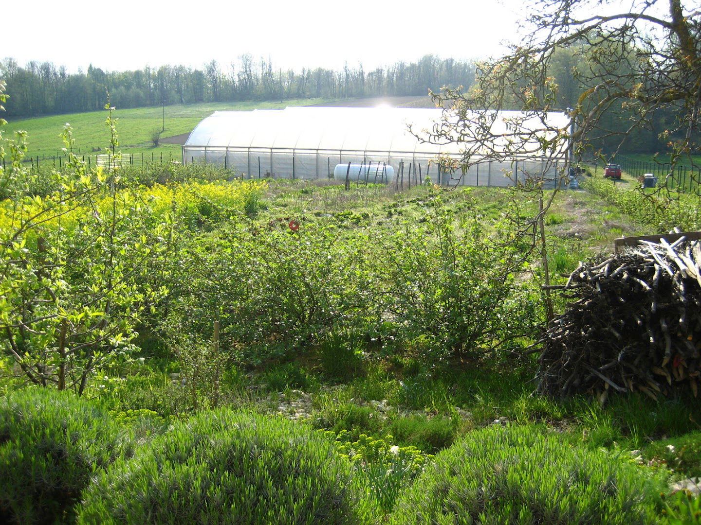 Sakowski d.o.o. Green Friends