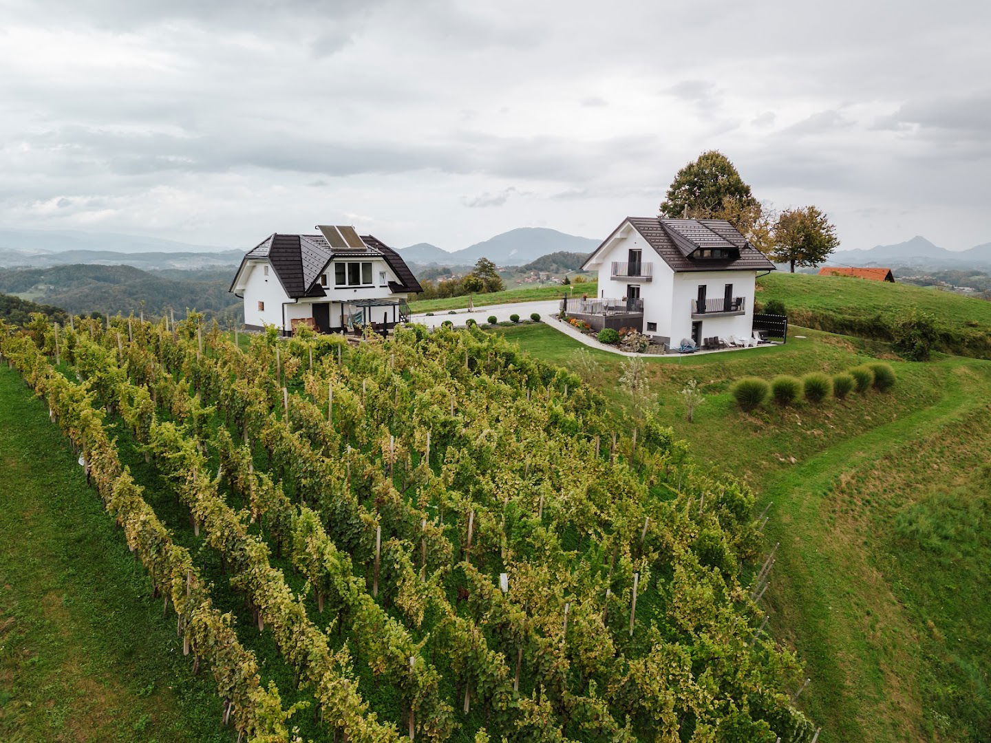 Tanja's Holiday Home in Nature