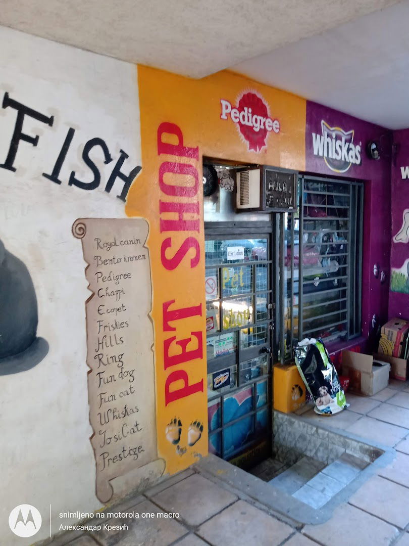 Pet shop "Fish"