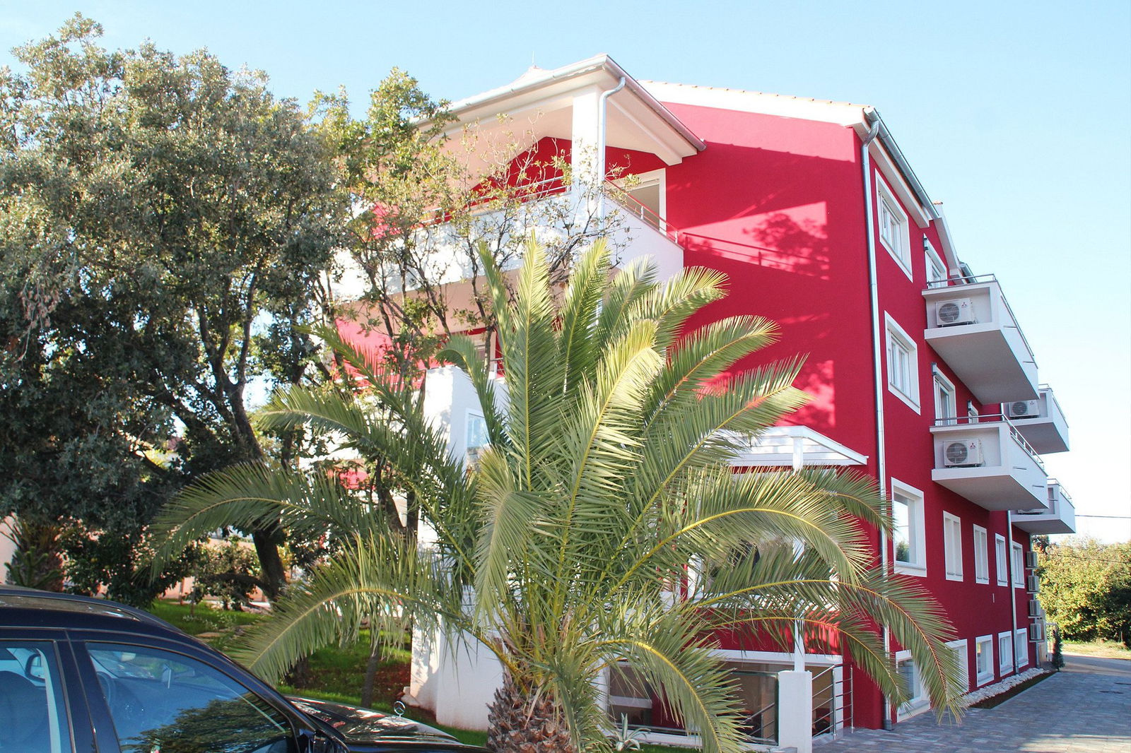 Pansion Cherry Blossom