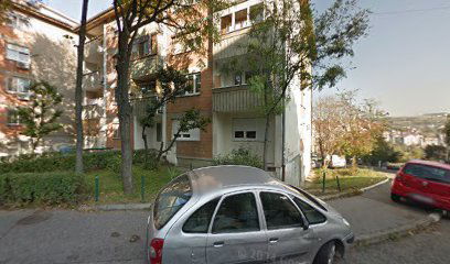 Salvadora Aljendea 43