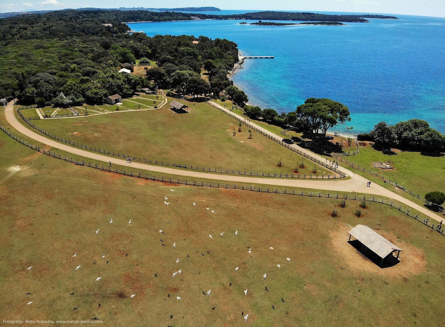 Safari Park, Brijuni