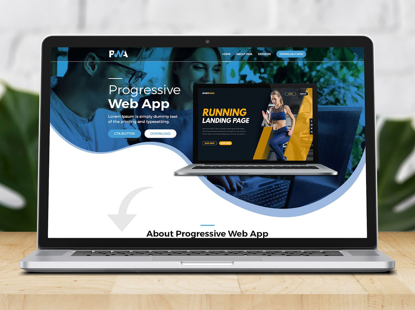 2SD Design / Kipić Dušan / Izrada web sajtova Šabac