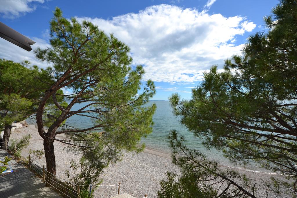 Trieste Reception - Ginestre Mare 7