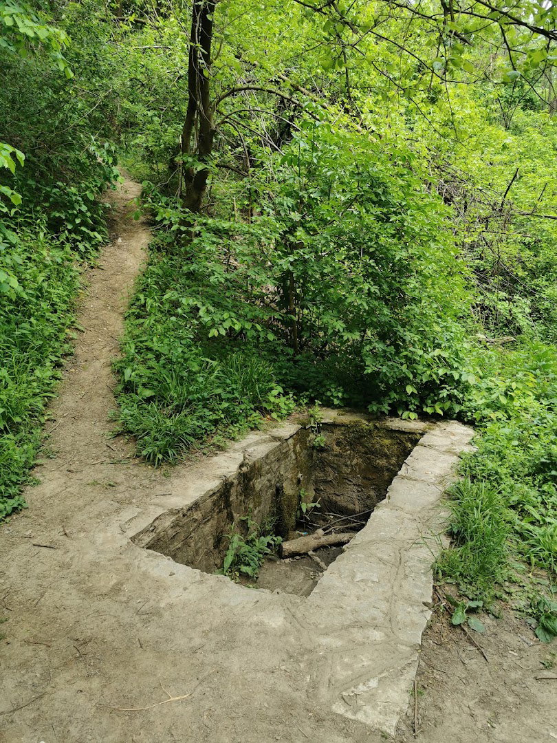 Извор Степин Луг