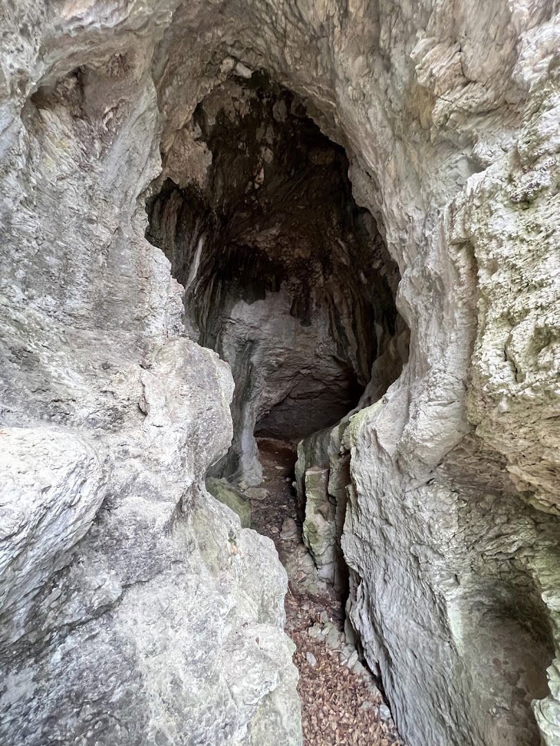 Пећина "Пурина црква" на Рајцу