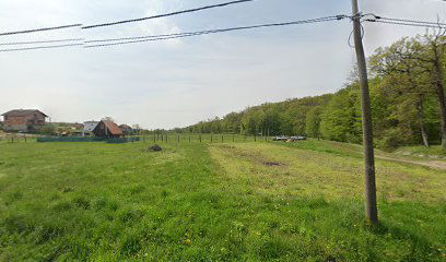 B. Nogometno Igralište