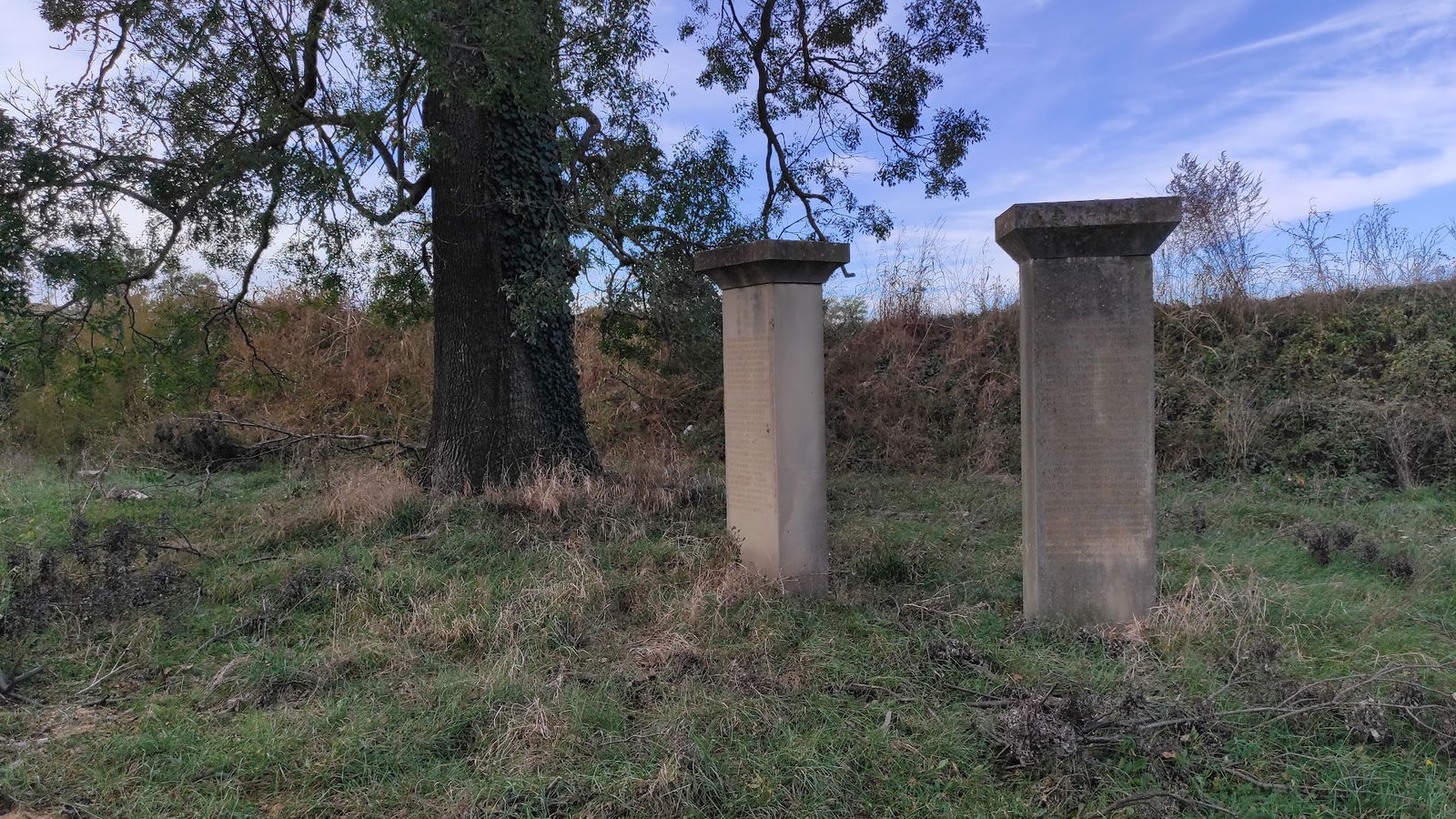 Spomenik Slobodanu Peneziću Krcunu
