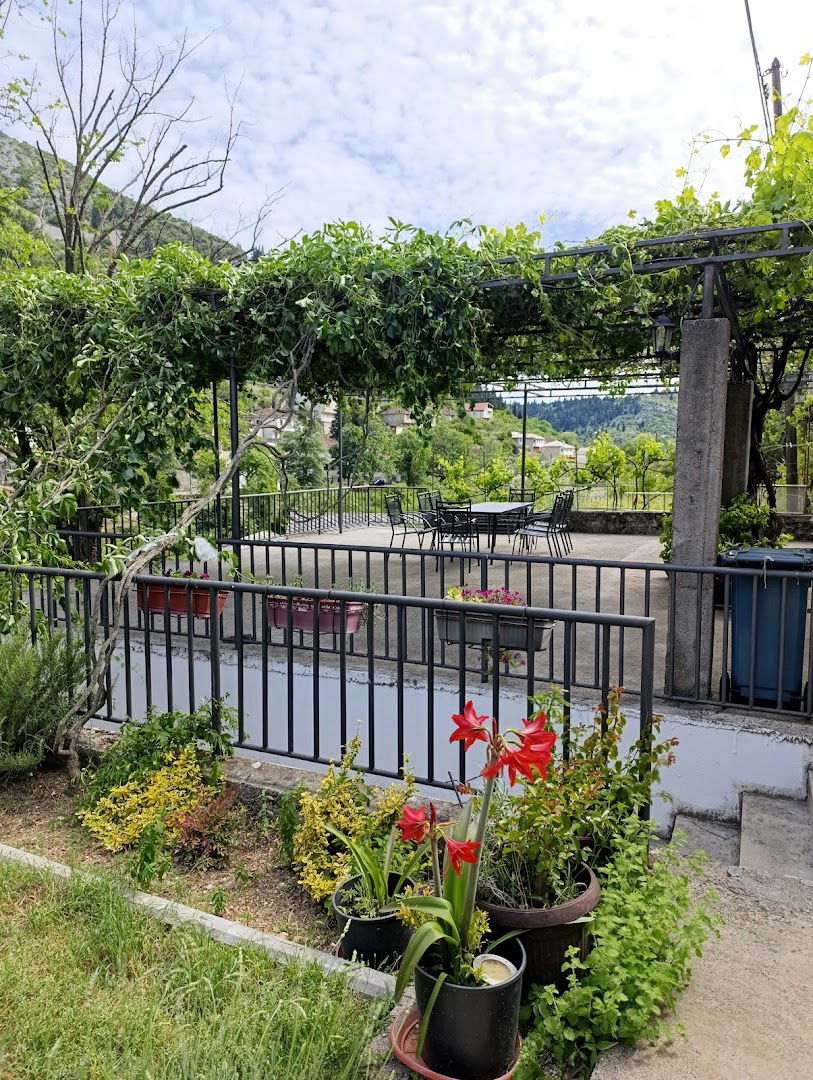 Orhideja -udruženje žena