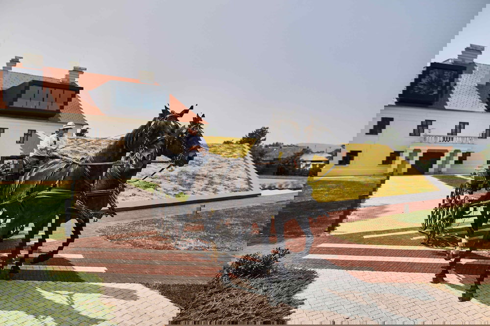 Kurija Mihalović - Feričanci