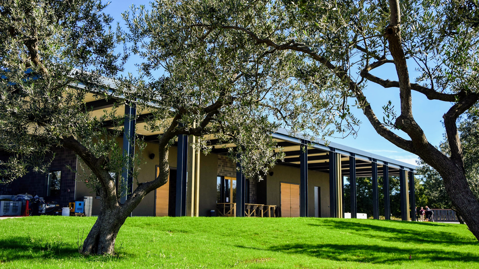 Chiavalon Extra Virgin Olive Oil