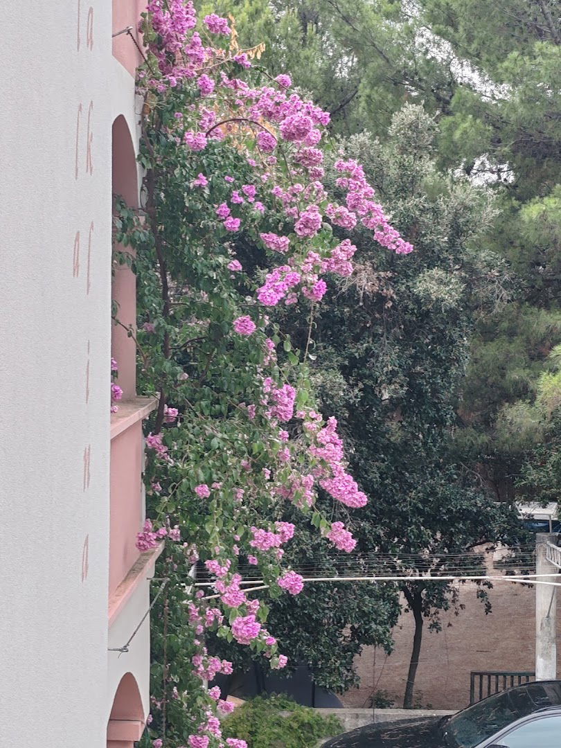 Apartmani Villa Žaklina