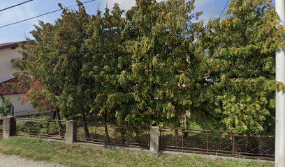 MARIO, OBRT ZA SERVIS VOZILA, VL. MARIO IGRC