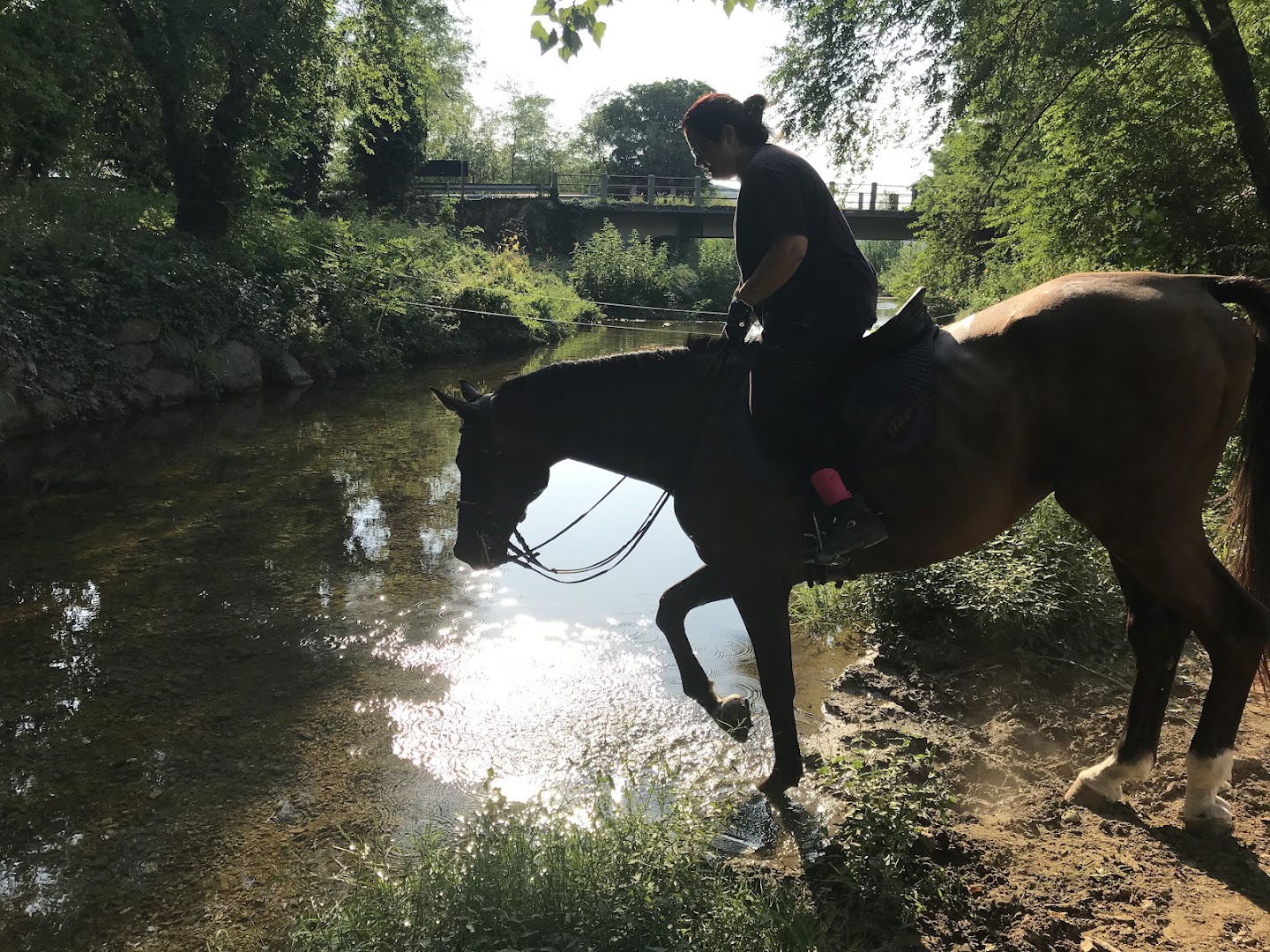 Riserva Di Caccia Dolina Zaule