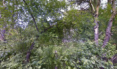 Gerijatrija Zemunska Bolnica