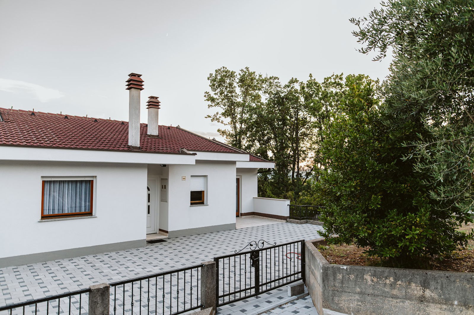 Olives garden - Čitluk