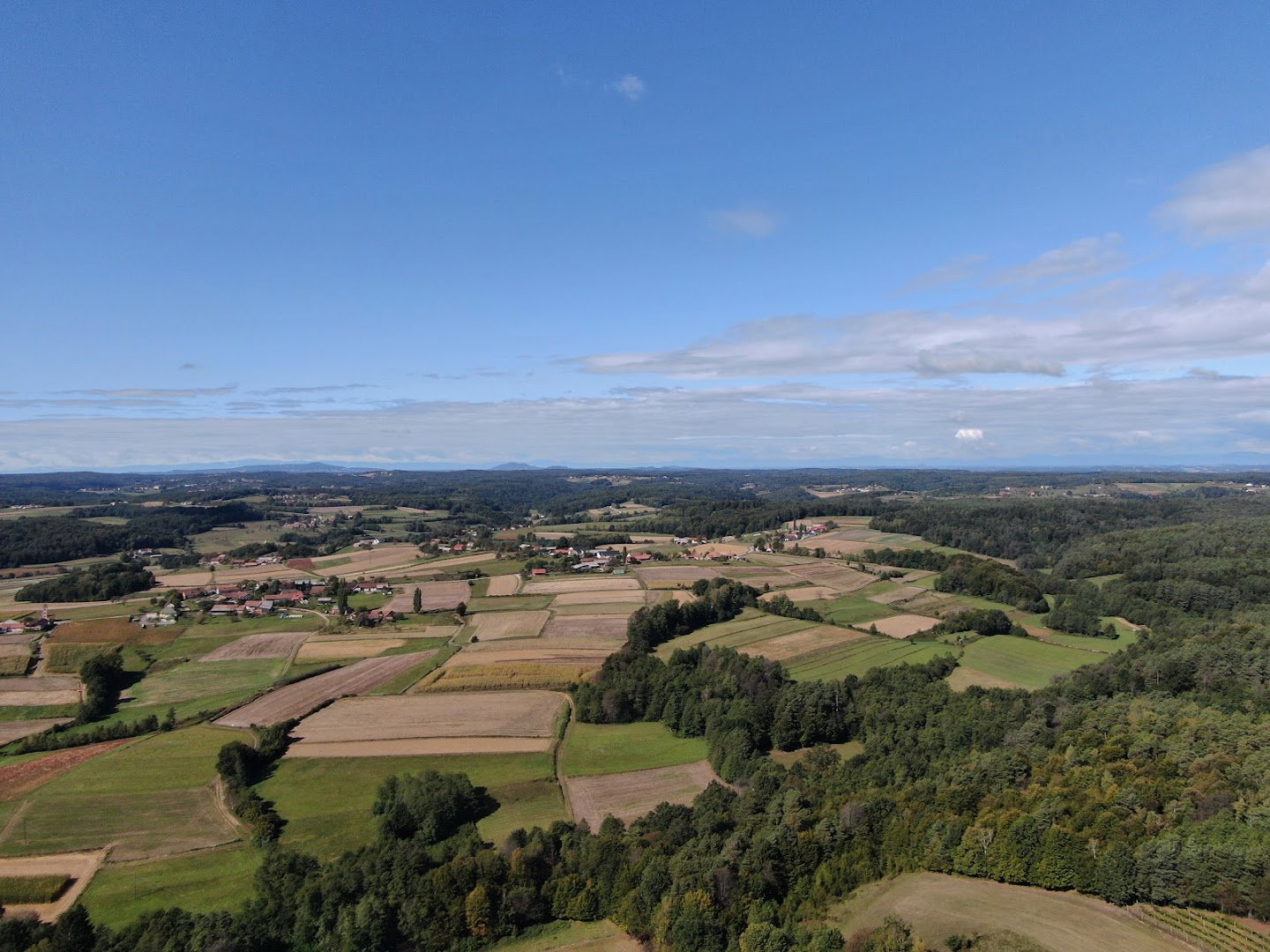 Zavod za gozdove Slovenije